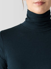 Sheer Knit Turtleneck Top