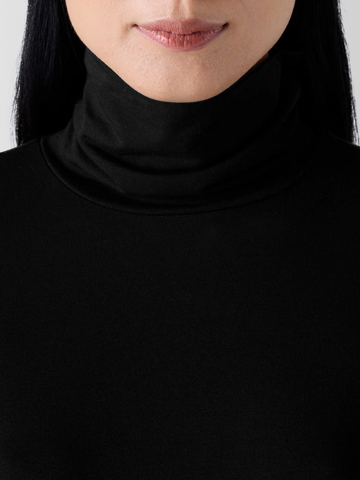 Sheer Knit Turtleneck Top