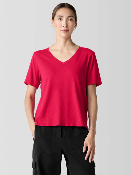 Organic Cotton Slubby Jersey&nbsp;V-Neck Tee