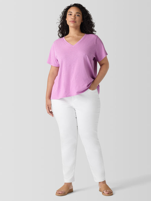 Organic Cotton Slubby Jersey&nbsp;V-Neck Tee