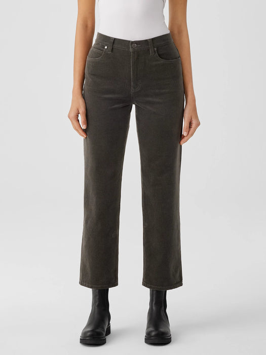 Organic Cotton Stretch Corduroy Straight Pant