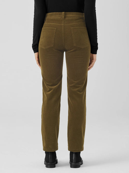 Organic Cotton Stretch Corduroy Straight Pant