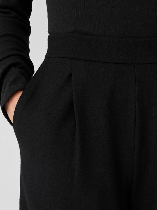 Boiled Wool Jersey Pleated Wide-Leg Pant
