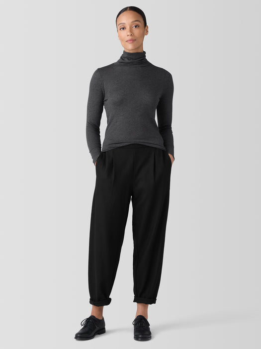 Sheer Knit Turtleneck Top