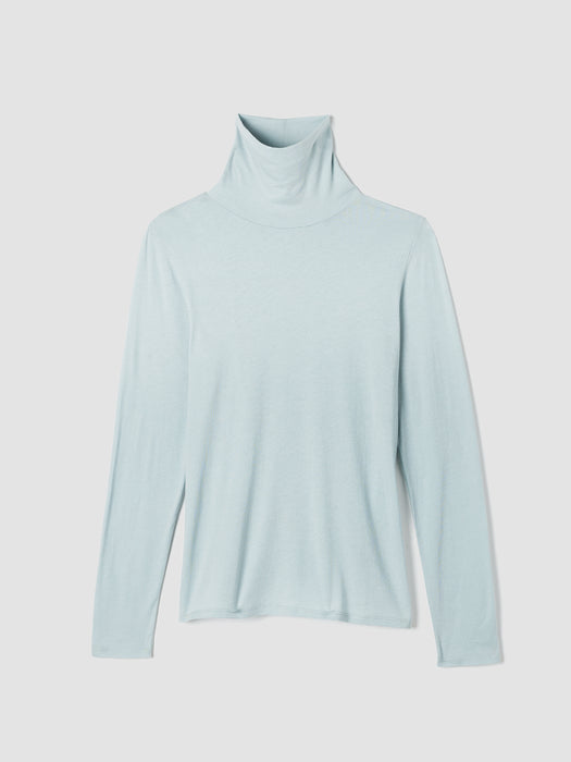 Sheer Knit Turtleneck Top