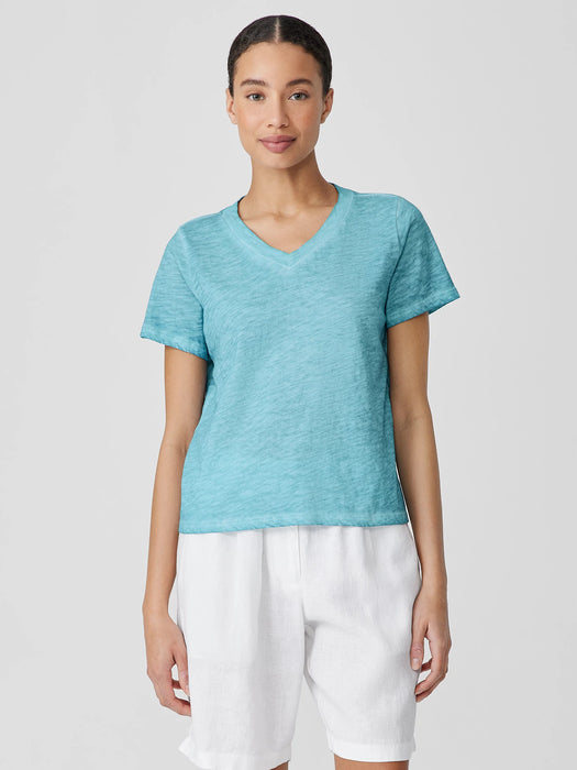 Organic Cotton Hazy Slub V-Neck Tee