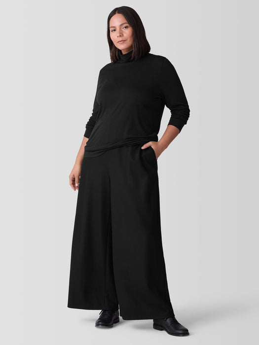 Sheer Knit Turtleneck Top