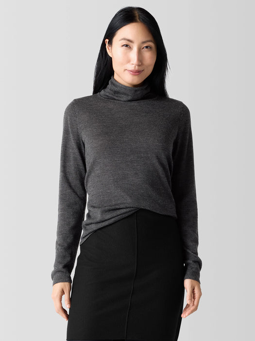 Fine Merino Turtleneck Top in&nbsp;Regenerative Wool