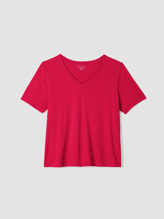 Organic Cotton Slubby Jersey&nbsp;V-Neck Tee