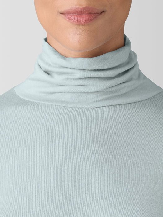 Sheer Knit Turtleneck Top