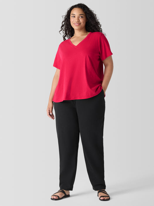 Organic Cotton Slubby Jersey&nbsp;V-Neck Tee