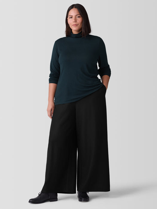 Sheer Knit Turtleneck Top