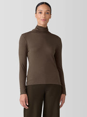 Sheer Knit Turtleneck Top