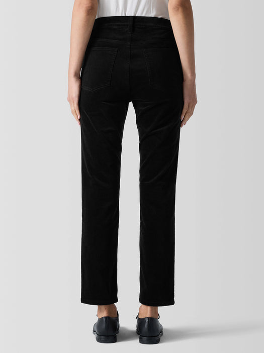 Organic Cotton Stretch Velveteen Pant