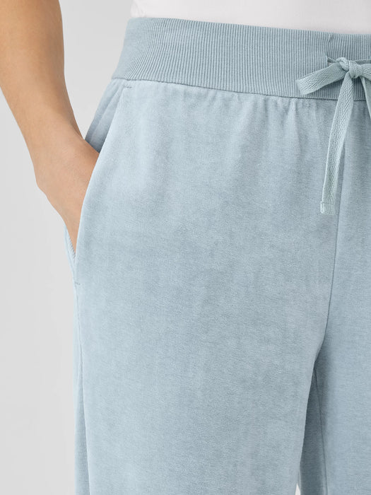 Cozy Velour Knit Jogger Pant