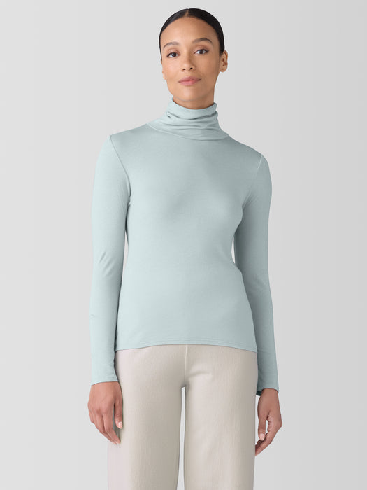 Sheer Knit Turtleneck Top