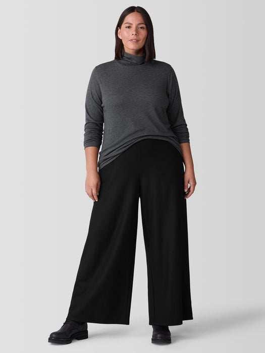 Sheer Knit Turtleneck Top