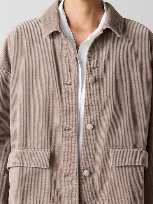 Organic Cotton Corduroy Classic Collar Jacket