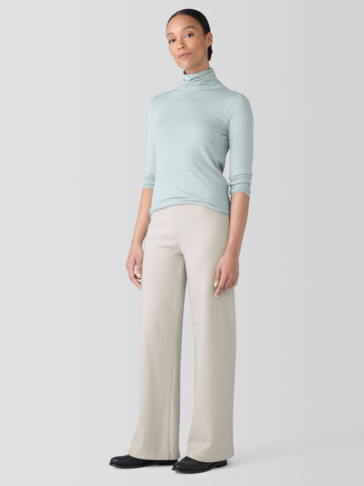 Sheer Knit Turtleneck Top