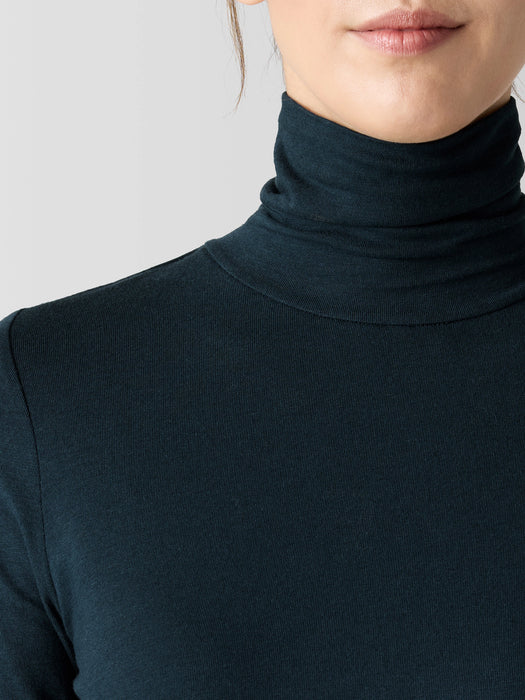 Sheer Knit Turtleneck Top