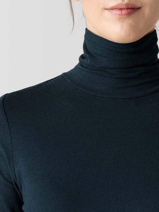 Sheer Knit Turtleneck Top