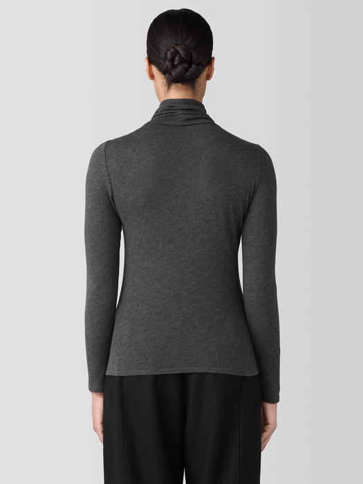Sheer Knit Turtleneck Top
