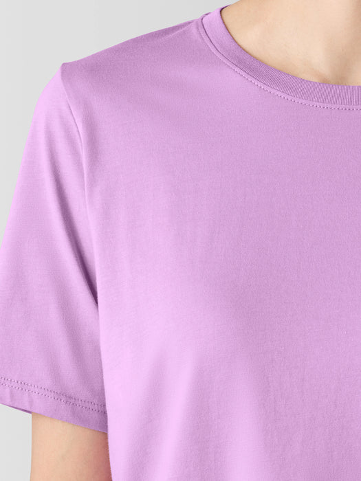 Organic Pima Cotton Jersey&nbsp;Round Neck Tee