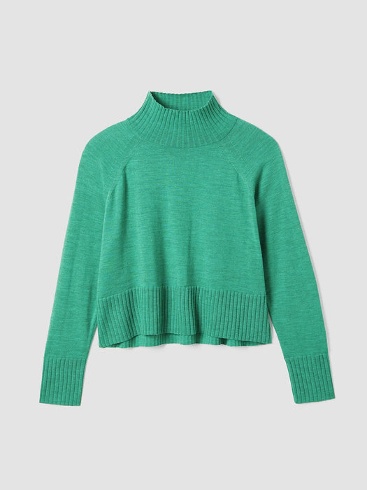 Merino Jersey Turtleneck Top in Regenerative Wool