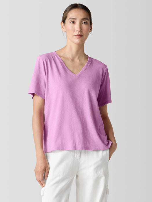 Organic Cotton Slubby Jersey&nbsp;V-Neck Tee