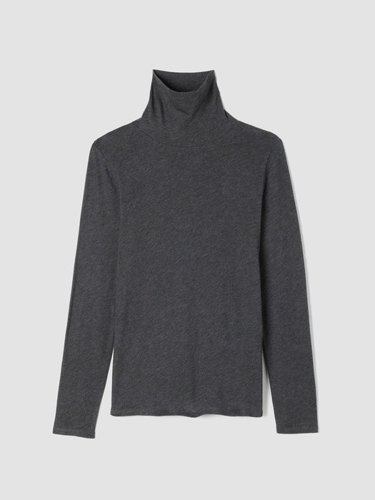 Sheer Knit Turtleneck Top