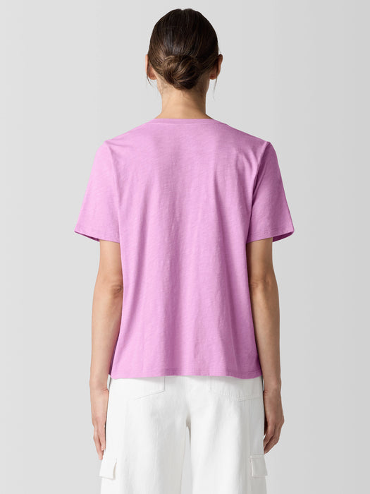 Organic Cotton Slubby Jersey&nbsp;V-Neck Tee