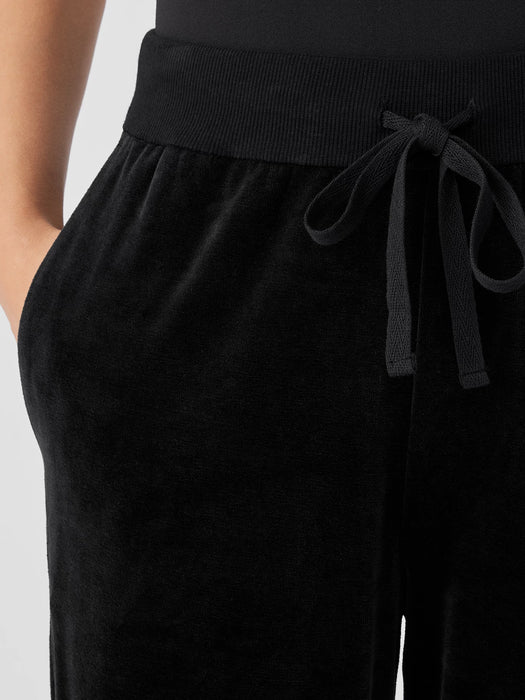 Cozy Velour Knit Jogger Pant