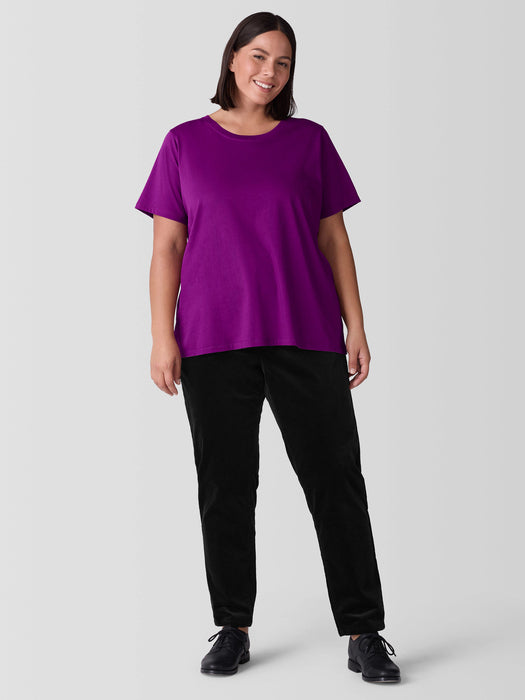 Organic Pima Cotton Jersey&nbsp;Round Neck Tee