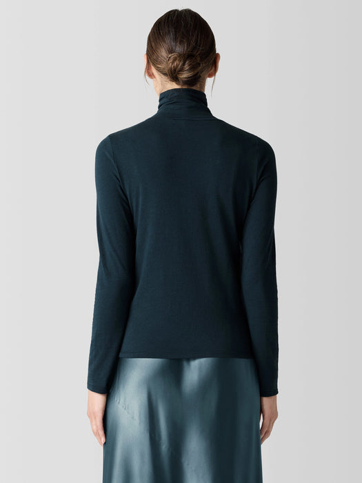 Sheer Knit Turtleneck Top