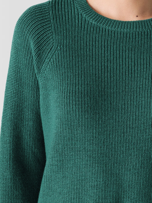 Merino Crew Neck Top in Regenerative Wool