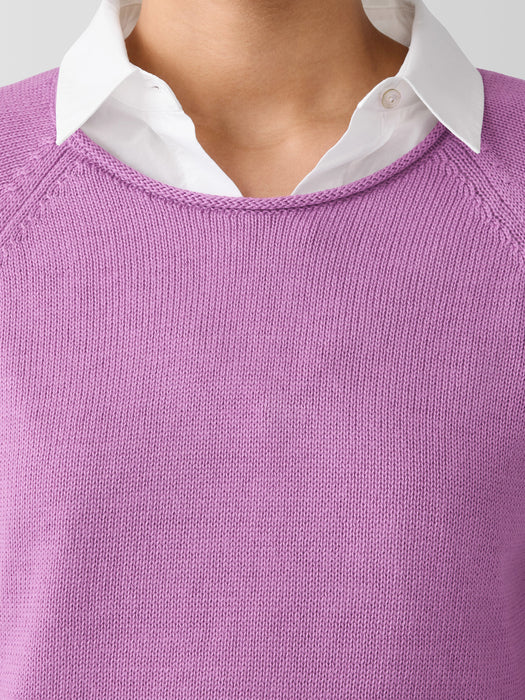 Peruvian Cotton Blend Crew Neck Top