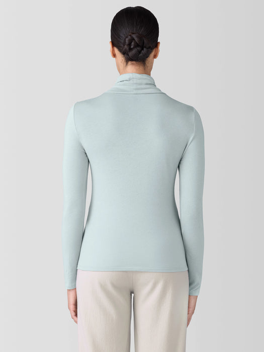 Sheer Knit Turtleneck Top